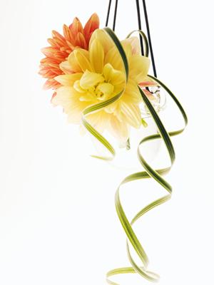 仙台で選ぶ理想の結婚指輪!デザインから予算までの完全ガイド